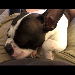 Meet your Posher, Douglas